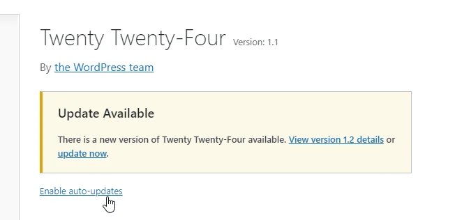 Picturing showing how to enable automatic updates for a WordPress theme